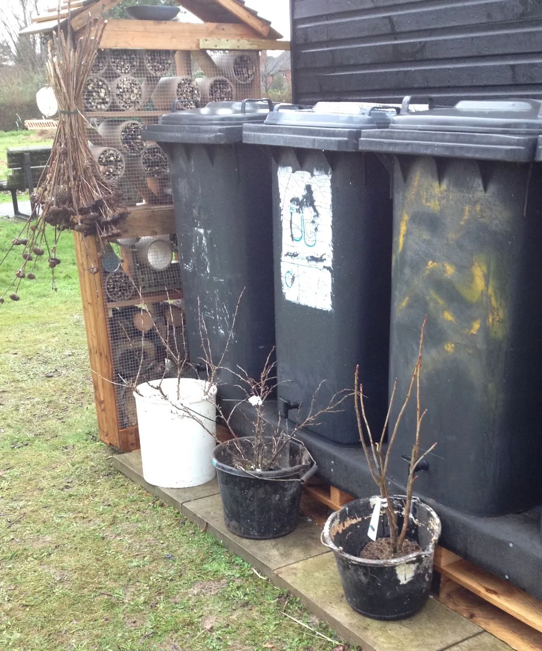 Wheelie bin water butts in progress but action