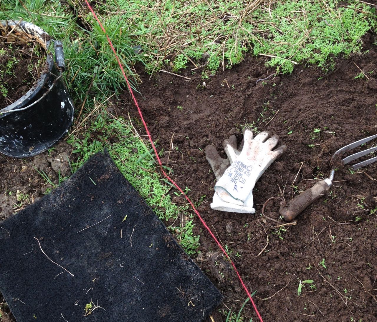 Trying out hand-prepared very shallow prep of beds for seed sowing. We didn't want to lose top soil.