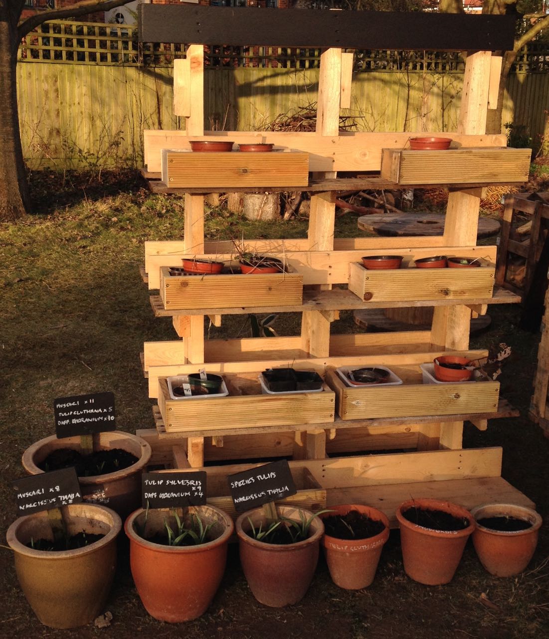 'Plant plaza', made from a pallet on which glass is delivered. Needs a sign!