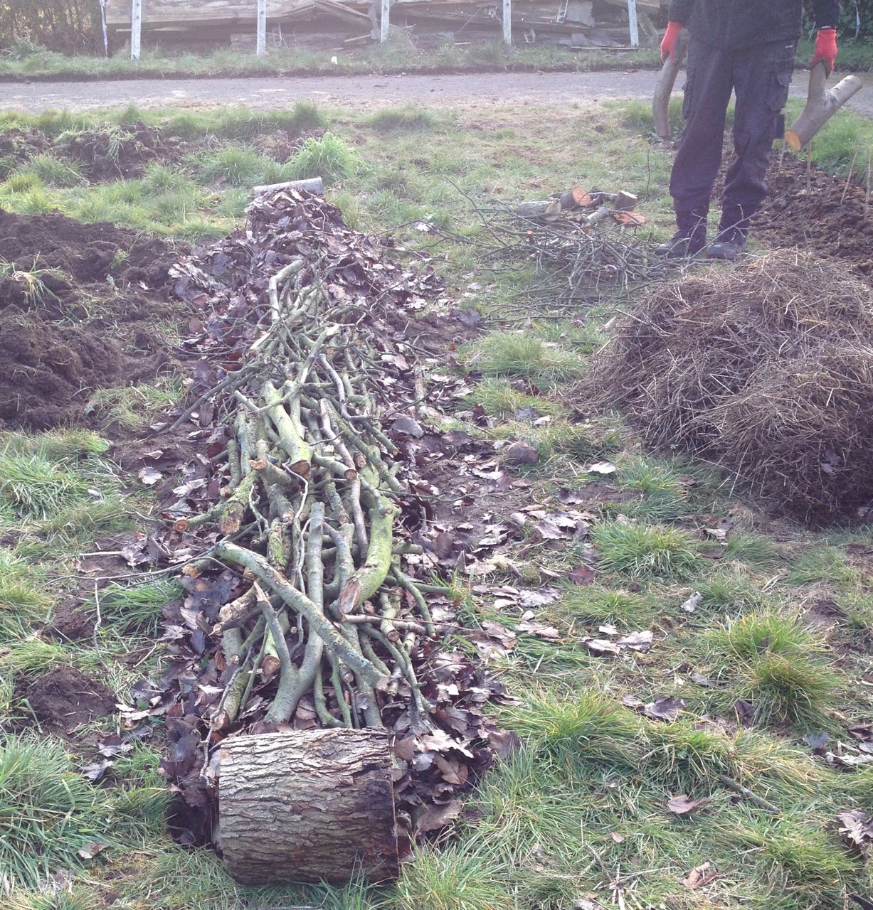 A modest hugelkultur bed, just waiting for its turf and humus layer.