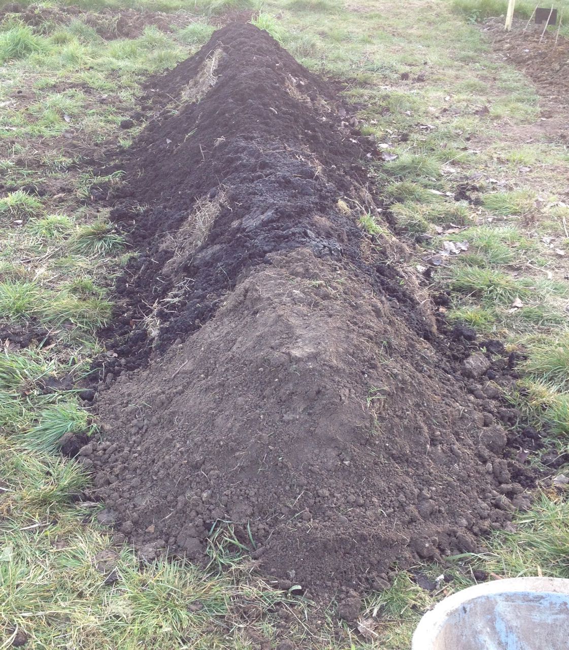 Our Hugel-lette: has more soil, meadow cuttings, upturned turf and all our Amey Cespa soil conditioner supplies, plus some spare soil from the edge cutters. We just need a bit more earth on the top now and to work out what to plant on it. 