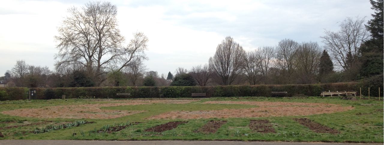 Not long now before we can sow the Pictorial Meadow seeds.