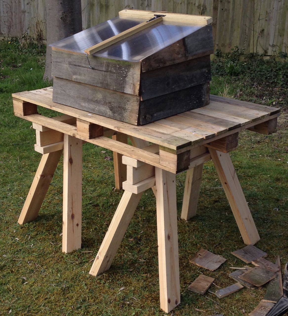 New cold frame on our new workbench - an old pallet on two trestles, made of waste wood from a skip. The cold frame was made from waste wood and some left-over polycarbonate.