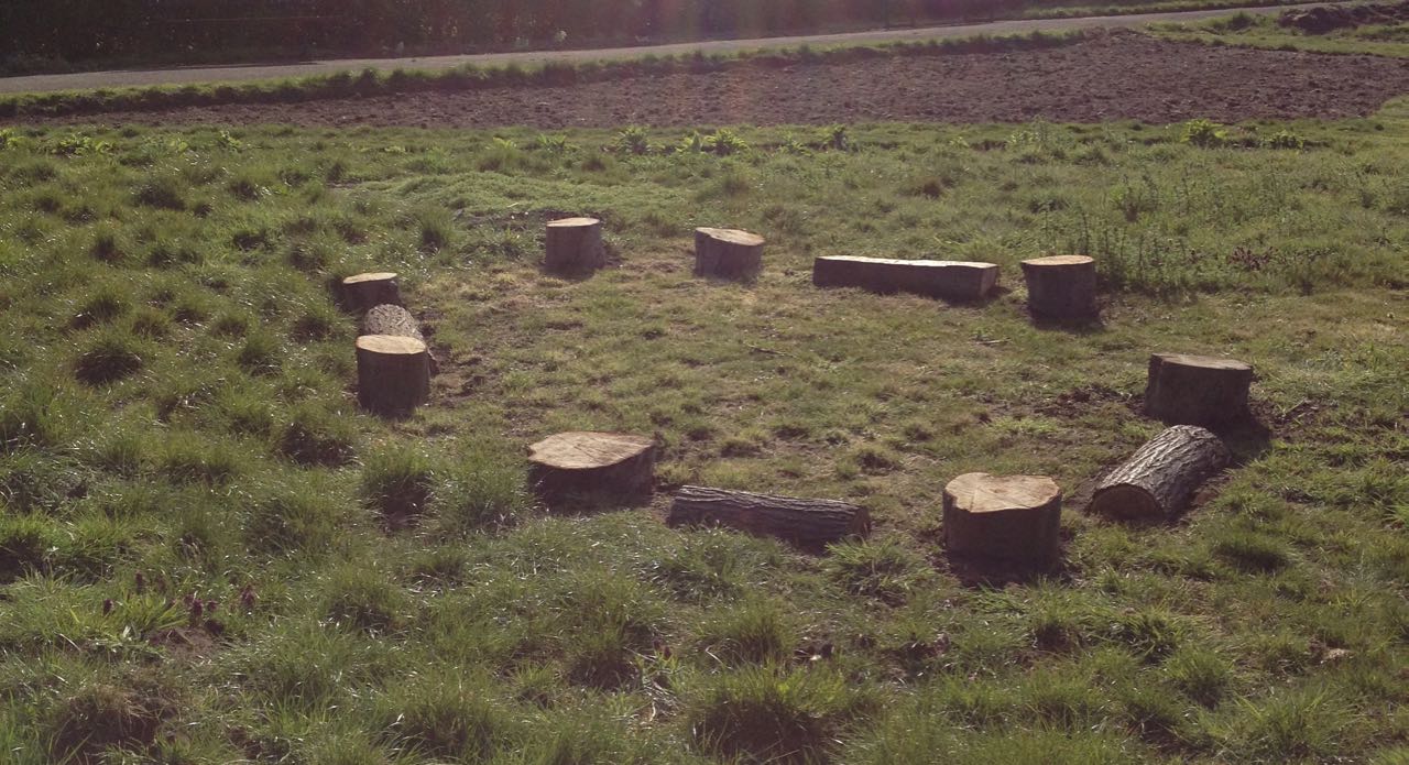 Log circle with spaces for intrepid wheelchairs to enter.