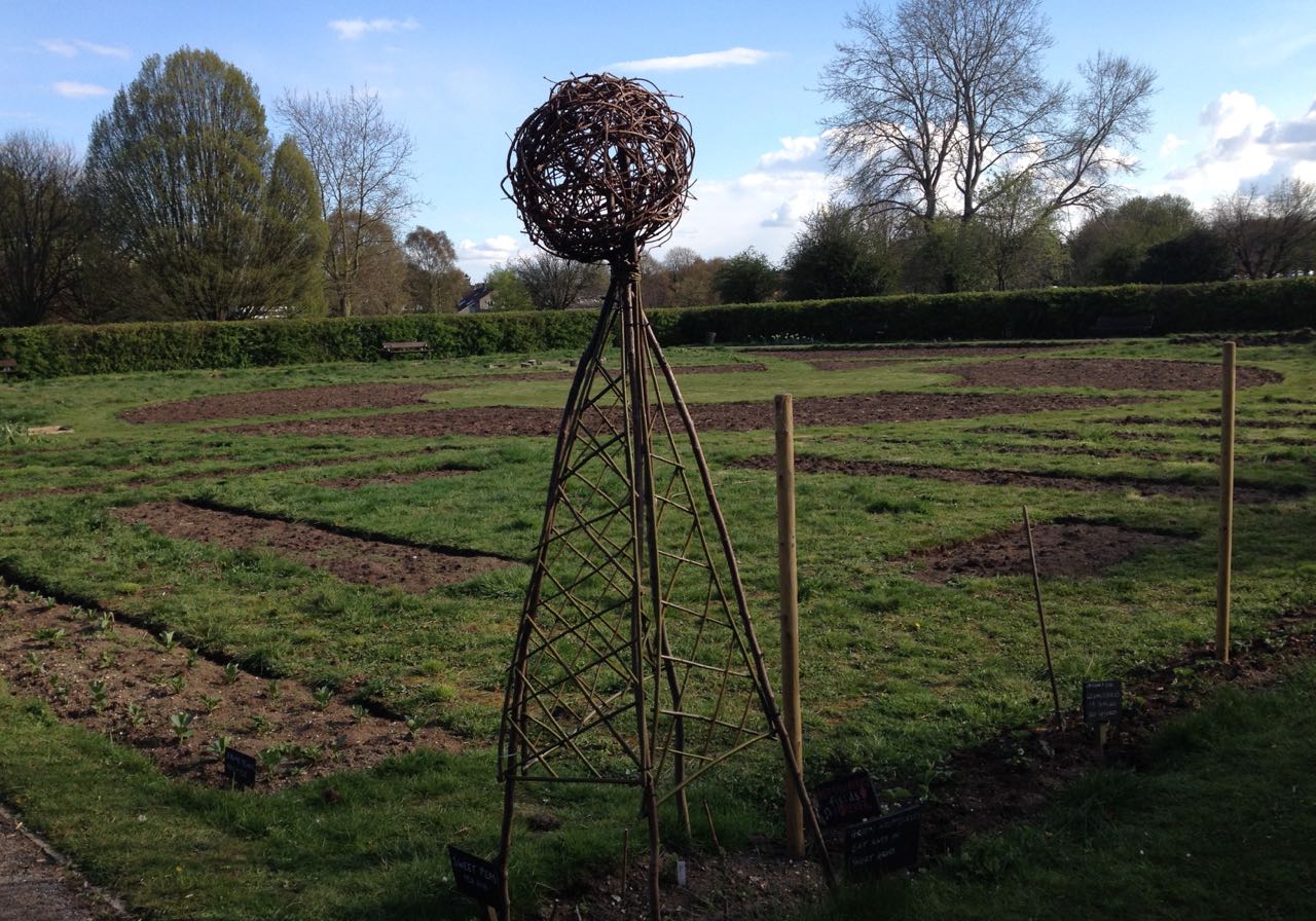These look very posh now. Might need to get some more sweetpeas though - it has been a bit chilly recently for direct-sown ones (or mice have nibbled them).