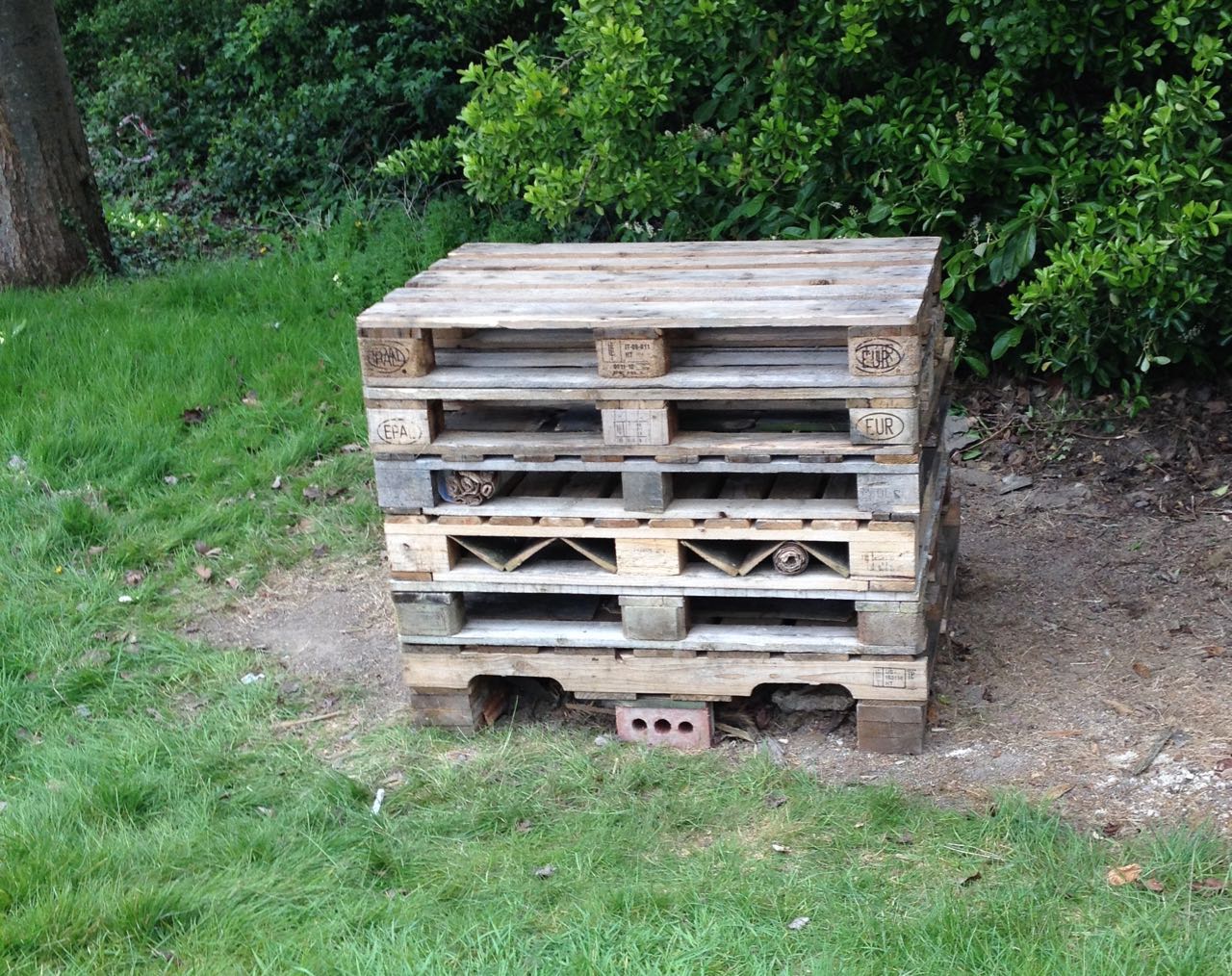 The start of a new bug hotel