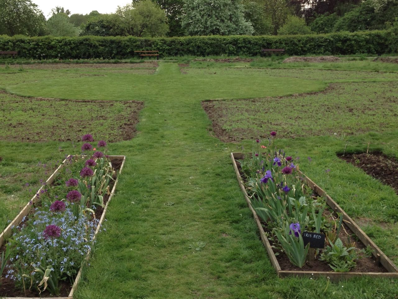 Photo taken on the following Sunday when it was much drier and we had mown the grass