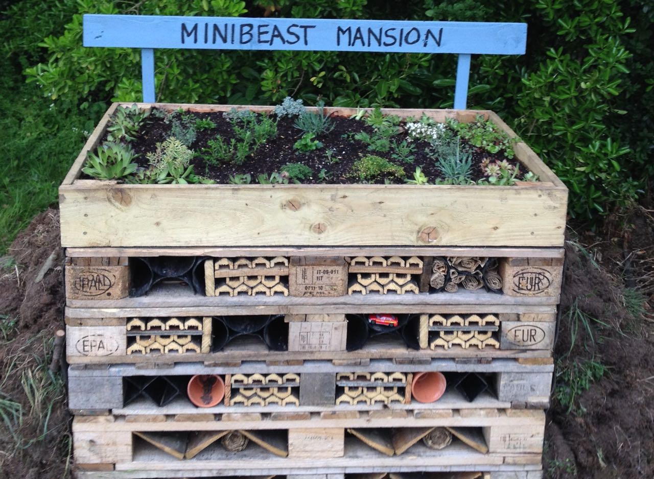 We are piling up earth from the second veg ditch by the Minibeast mansion - this will eventually be turfed at the sides - and we can plant into that too.