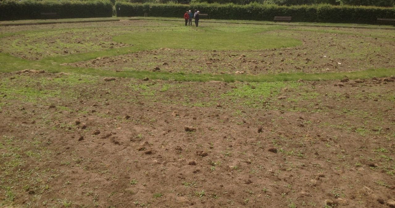 26 May 2015 - looks even more dry than this year