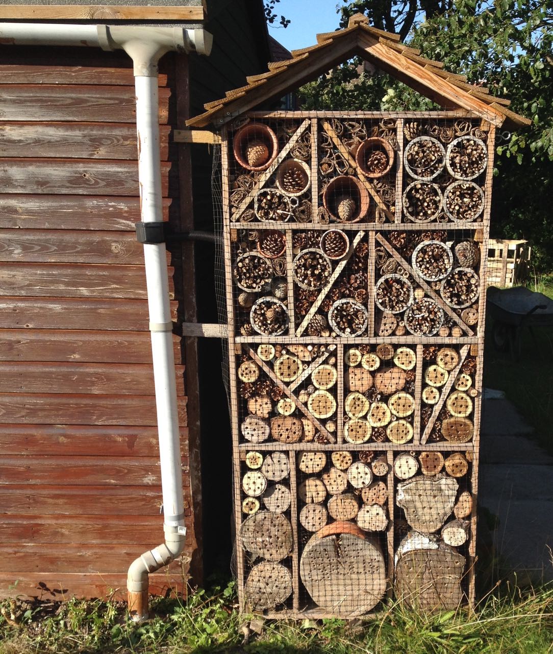 Re-designed and re-made Bugopolis - solitary bees were flying into the holes as we constructed it