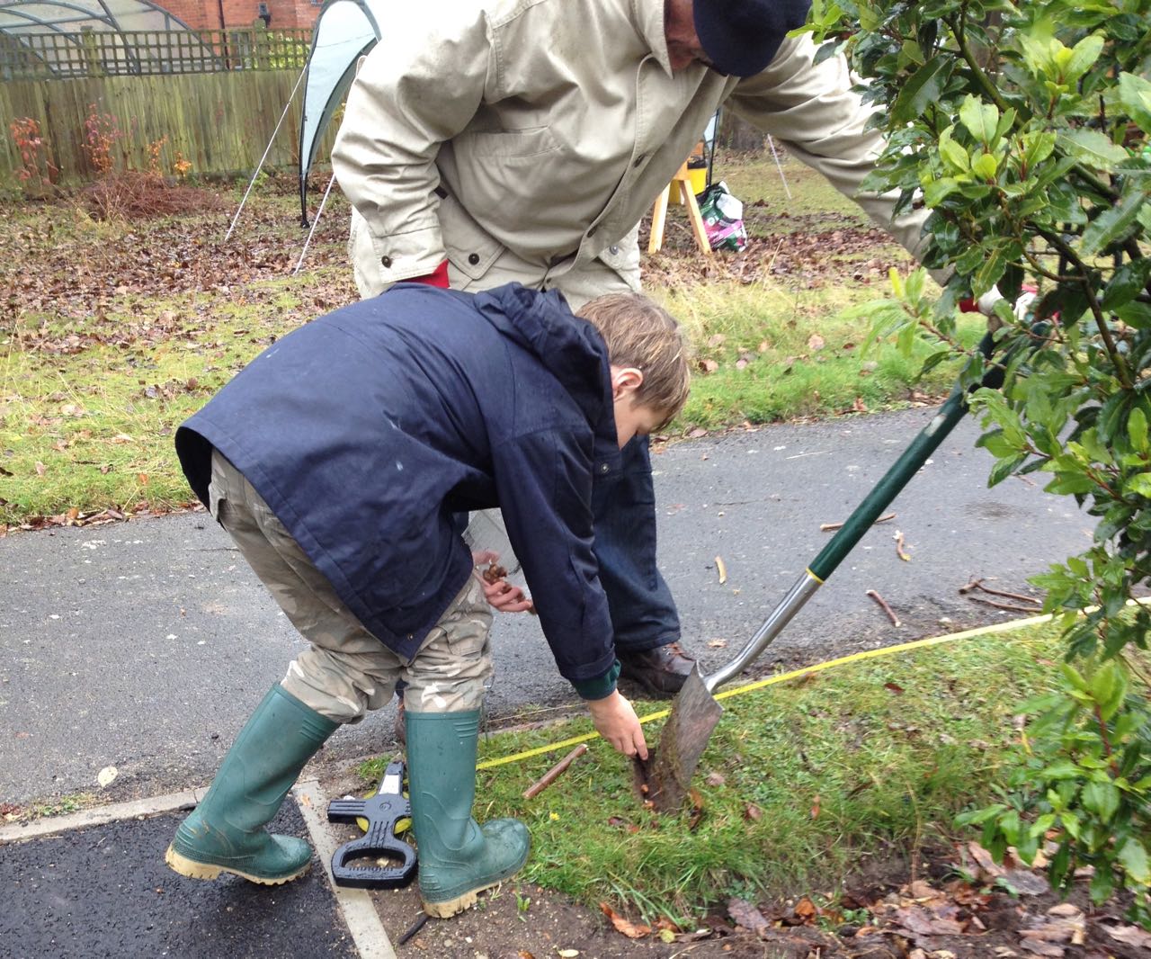 One of the cubs working with Nigel from Rotary. We planted the small corms into slits in the close-mown turf. The turf was too thick and spongy to raise a flap of earth at the right depth (it has a lot of chalk grassland plants in it like yarrow). We hope they will survive the squirrels, flower in Feb/March 2017 and proliferate to give some welcome early nectar every Spring for pollinators.