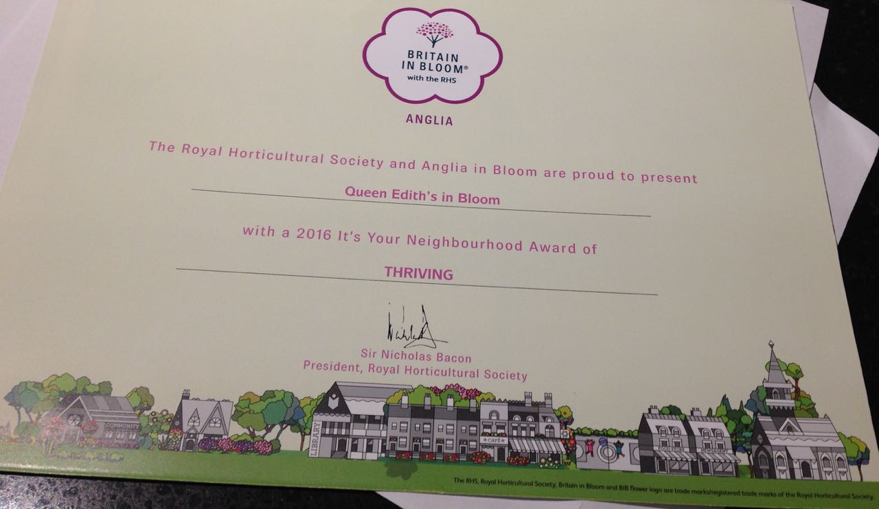 This certificate appeared one evening after a long cold session in the garden - it was a nice surprise!