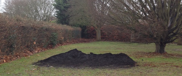 The mound after we had done lots of barrowing... very popular with park dogs - smelly and steaming!
