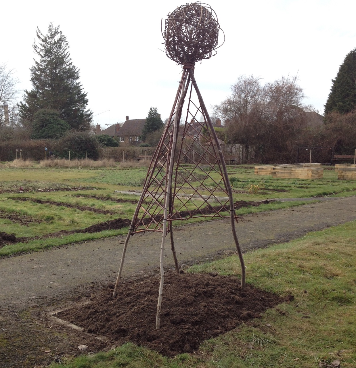 We were happy to move our bowls support back into the garden, again for sweet peas or similar...