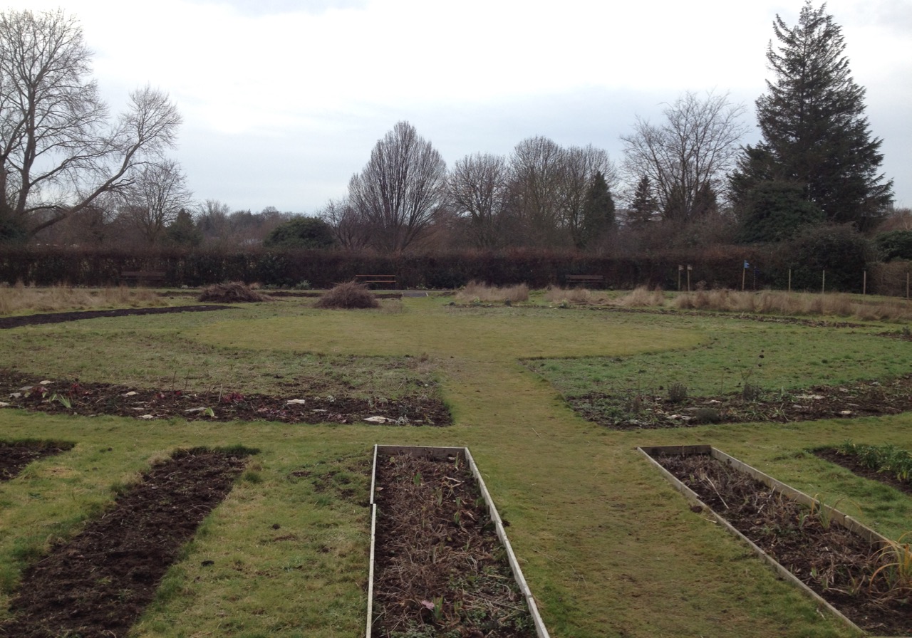 We finished the scything, ready to prepare the annual Pictorial Meadow beds