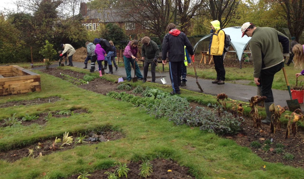 November 2016: 28th Cambridge cubs, with garden volunteers, planting 4,000 Purple for Polio crocus bulbs around the former bowling green. This was funded by four Cambridge Rotary clubs. We had a surprising amount of fun, considering the very cold wet weather. On the evening of 13 June 2017, the Tuesday cubs returned -in perfect weather - and we did some gardening but also had a fun time with giant bubbles and marshmallows.