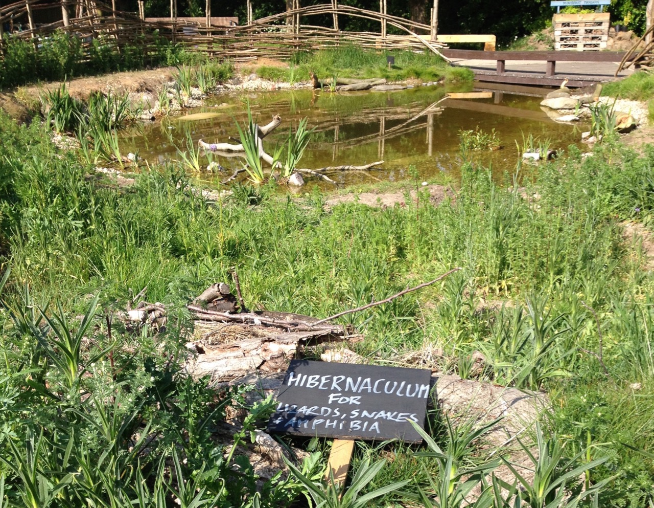 Sign for the hibernaculum at the 'back' of the pond.