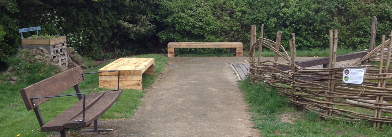 April 2017: new pond dipping benches/tables. They are very popular with visiting families too! They have space for dipping trays, but can also be used for seating (or even taking a nap).