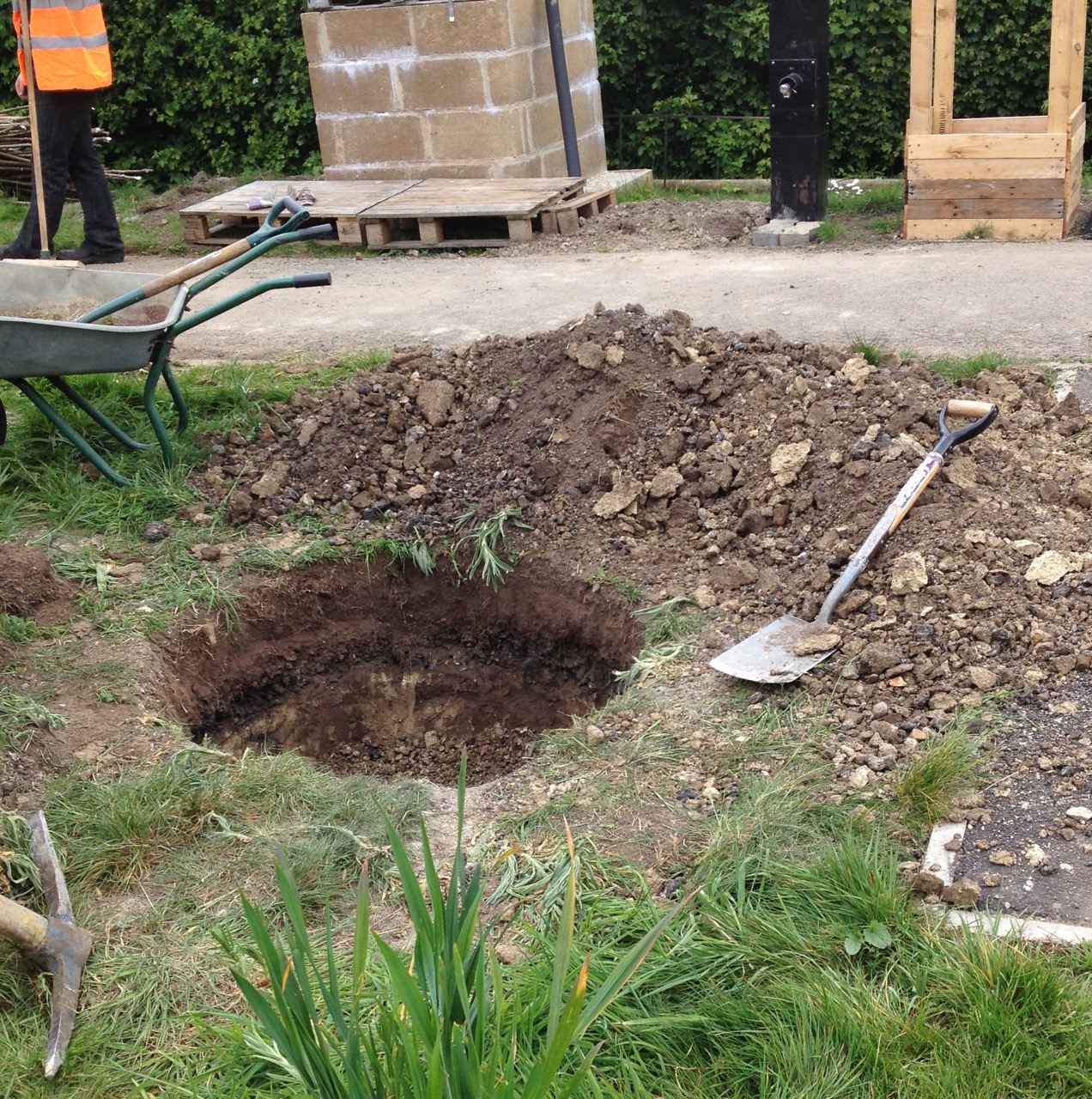 12 May. A very big, deep hole - you can see all the layers under the bowling green - and why some of our plants struggle: sandy 'dust', overlying clinker, hardcore and chalky clay.