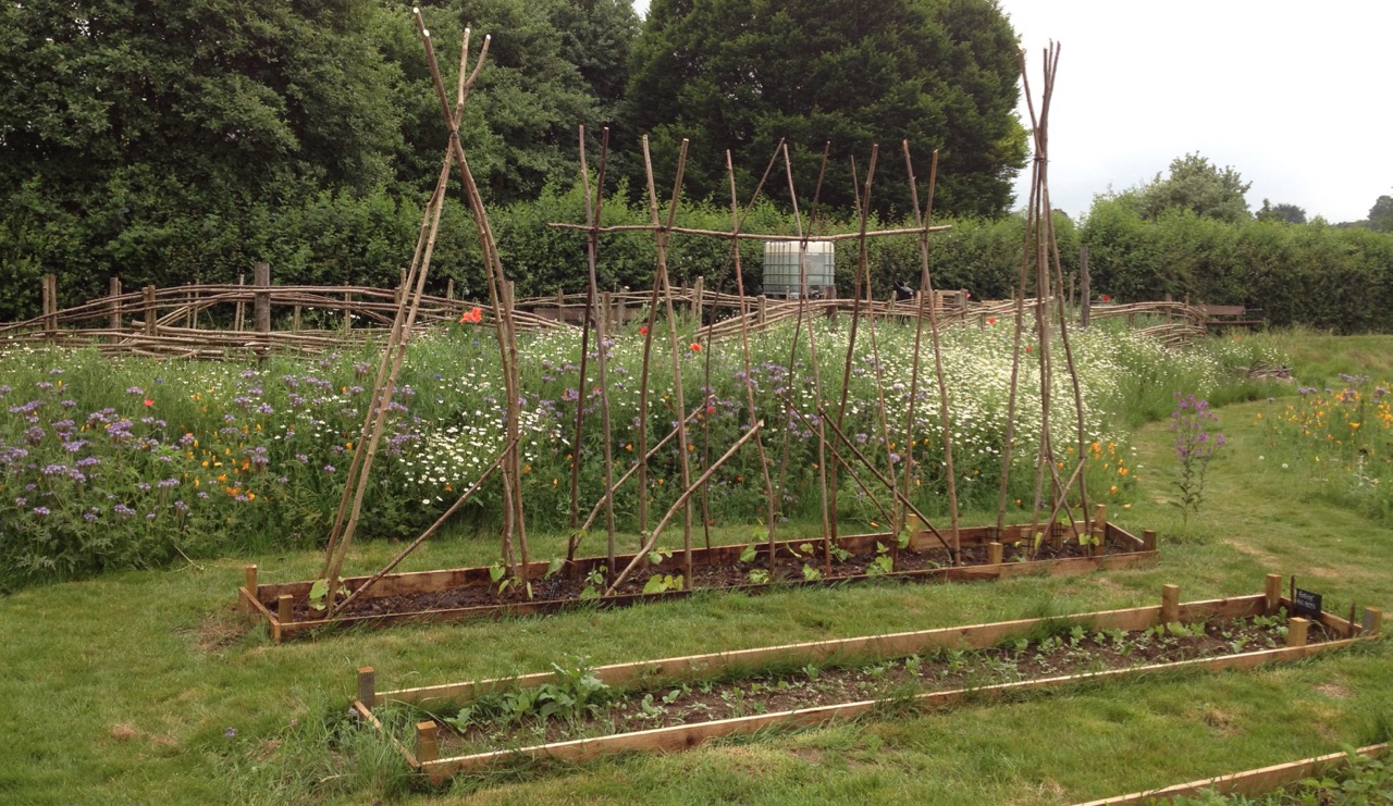 Wigwam and A-frame crazy...