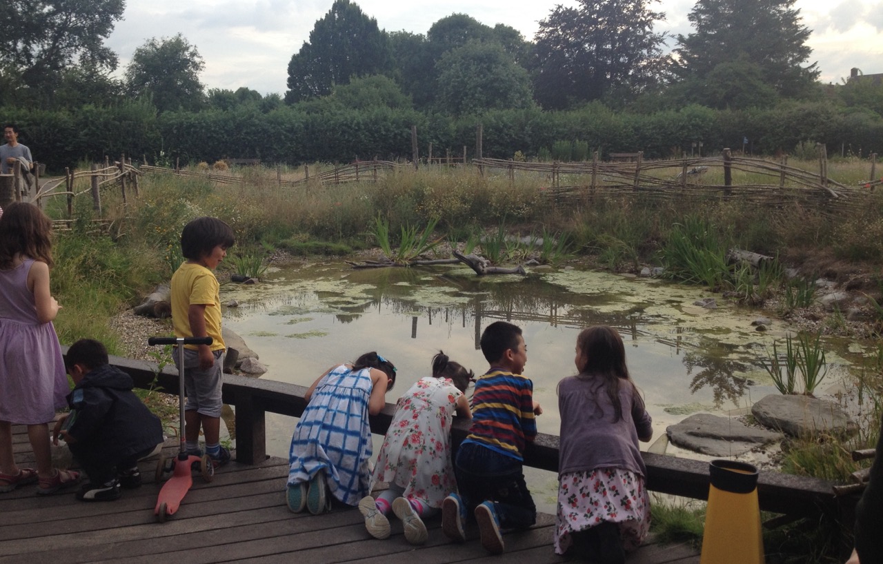 Pond dipping