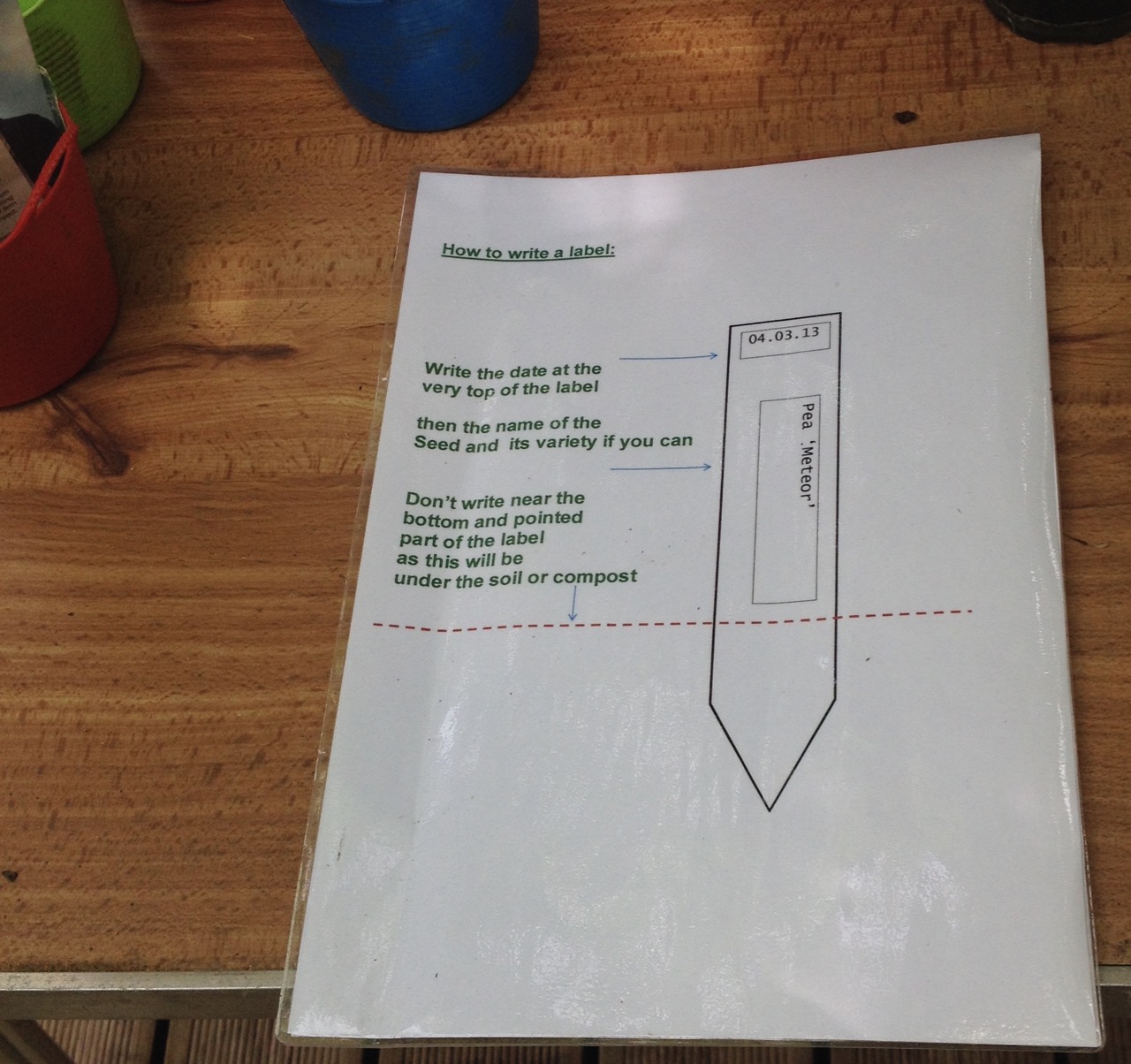 Part of the seed sowing session - how to make a proper plant label!