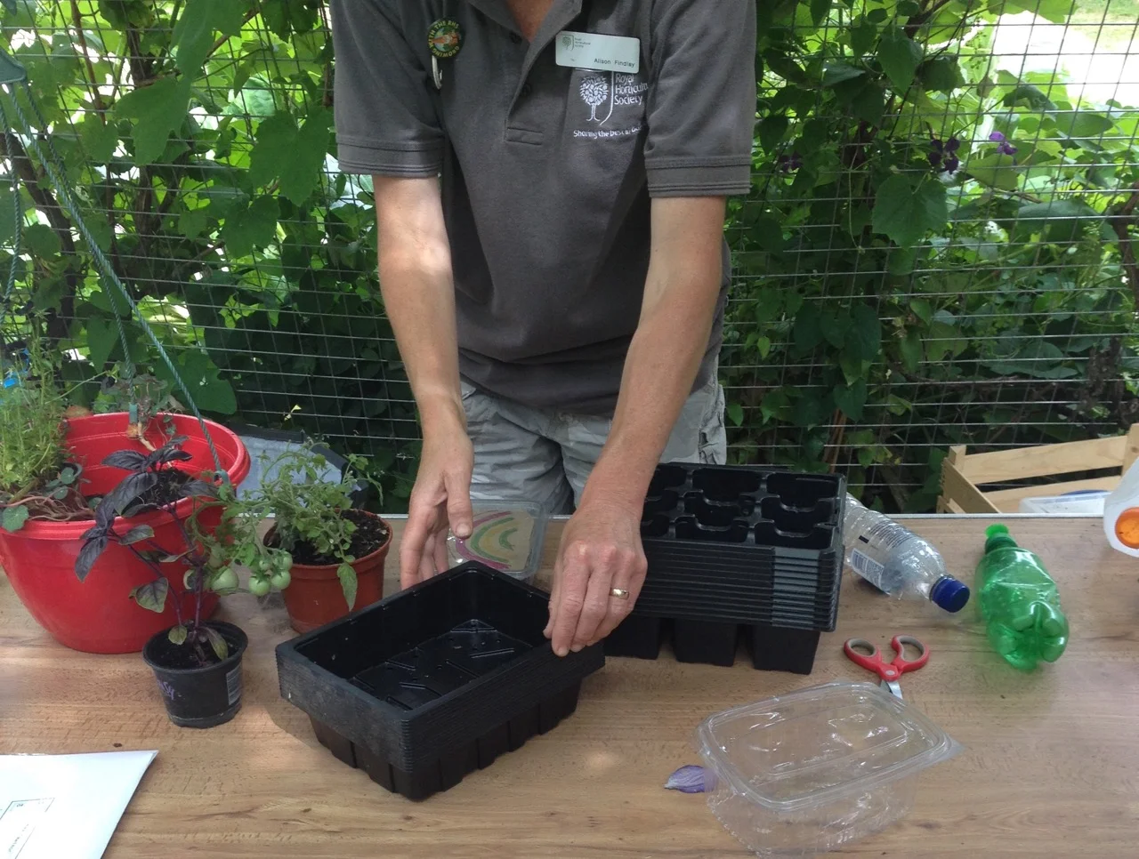Re-usable seeds trays for making rainbow salad gardens to take home. Also small, water-saving, bottle top, 'watering cans'.