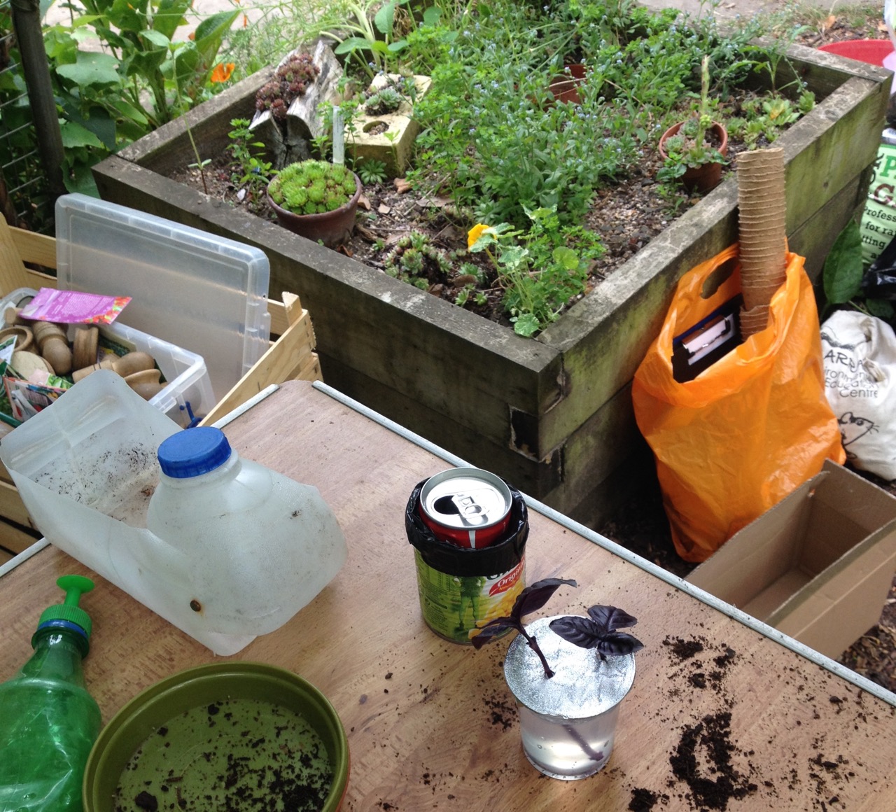 Taking cuttings into gel medium. Can see the roots growing - but they would be expensive for a whole class. Plastic milk bottles can be made into lots of things - I think this is a scoop but we also saw a carrying basket.