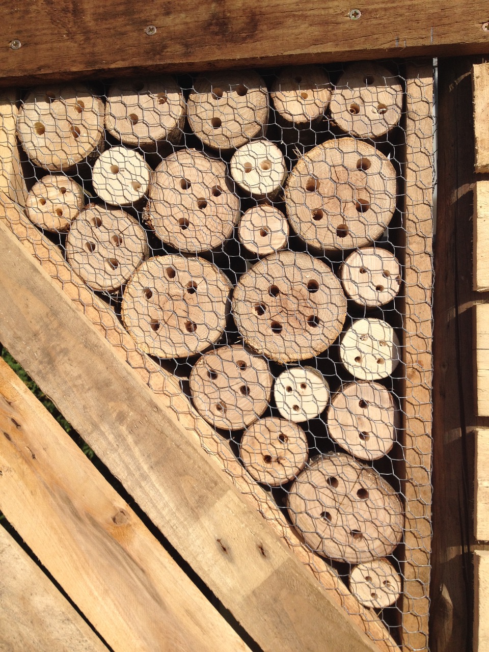 We also make artificial habitats for wildlife. In this case, a disguise for our water tower. We drilled long holes of three diameters in recently cut branches - from local nature reserves and parks and brought to us by Guy and Vic. It is important you don't use chemically-treated wood for this - or the insects laying eggs might be harmed.