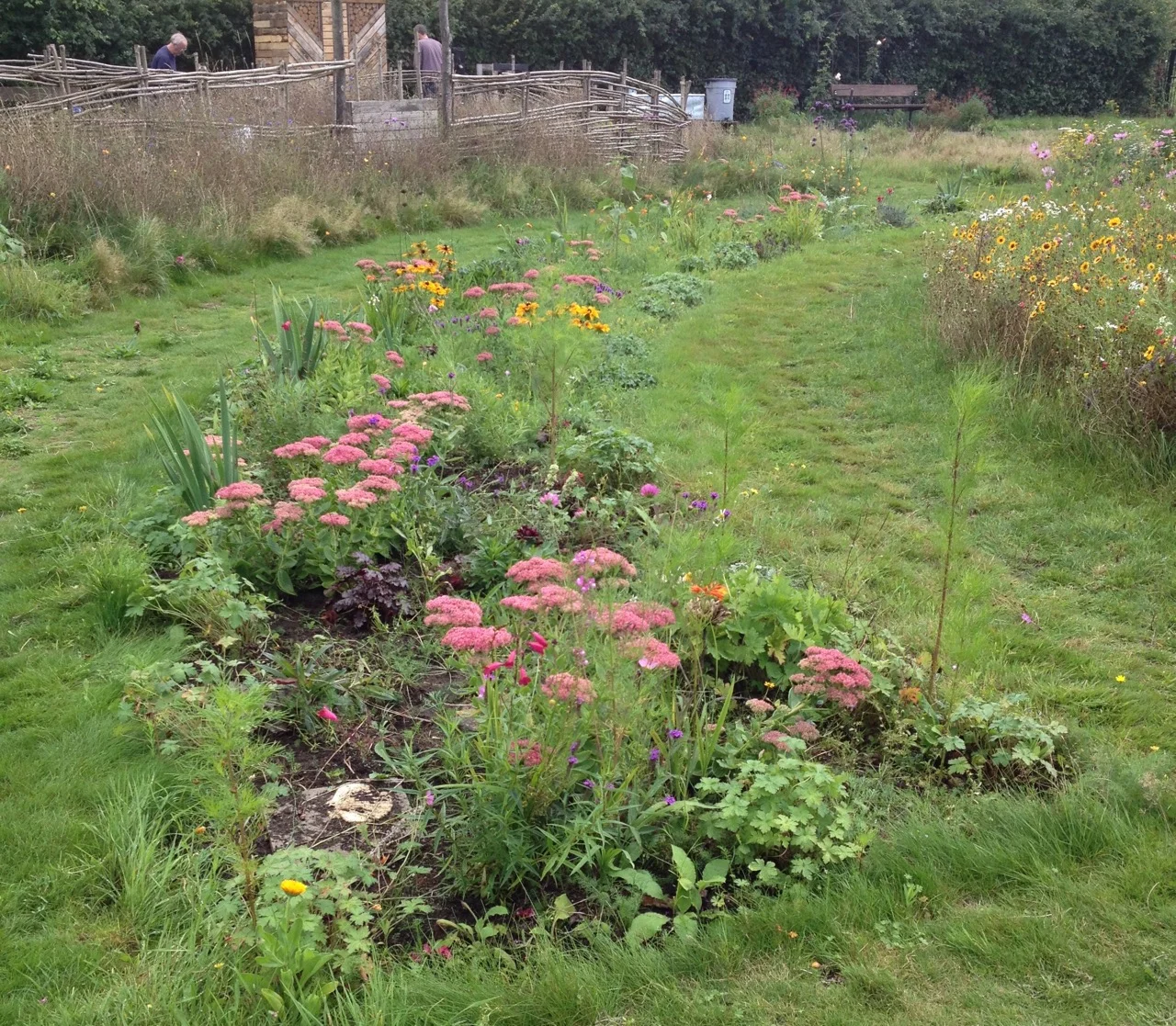 We started two new beds next to the water tower. One will have a climbing clematis, a favourite plant of at least one volunteer, and also very good for wildlife.