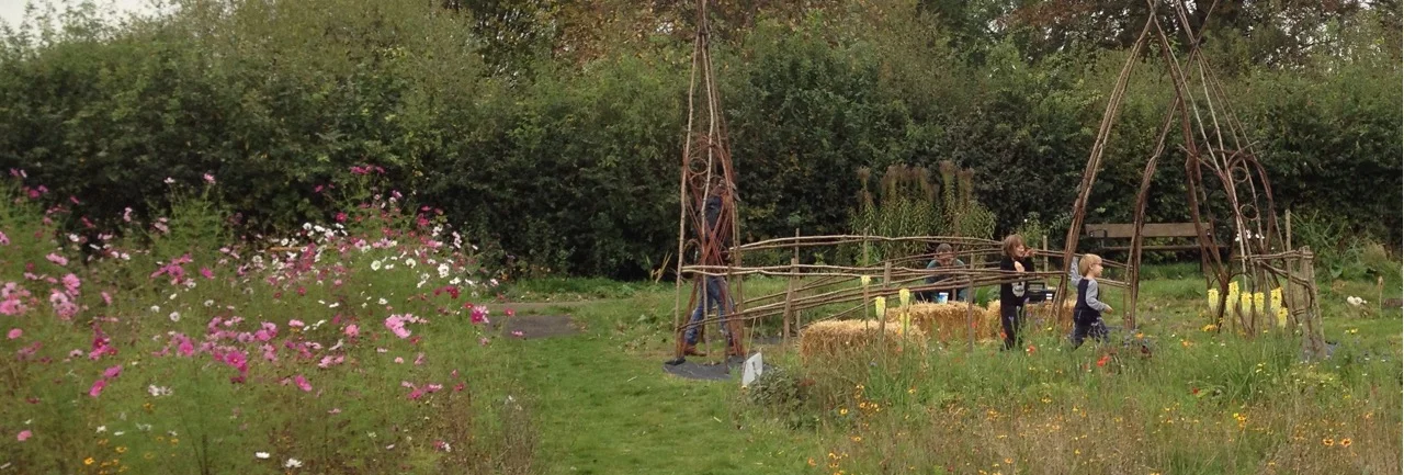 Making the willow circle. The decorative hoops are from park dogwood and allotment willow. The straw bales inside it are very popular with children. One of them said yesterday that 'the tent was too hot', so maybe we need to add air conditioning.