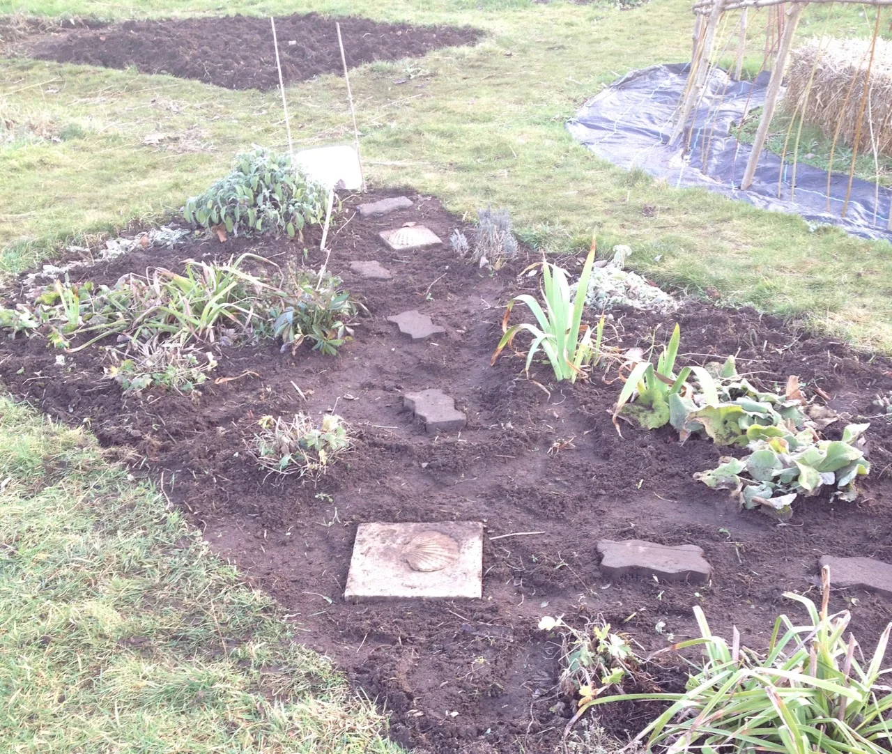 Small children really like our stepping stones in the beds, which have become a bit covered up with mud - so our new volunteer Jane has started to give them a brush and levelling. Immediately tried out by Reggie.