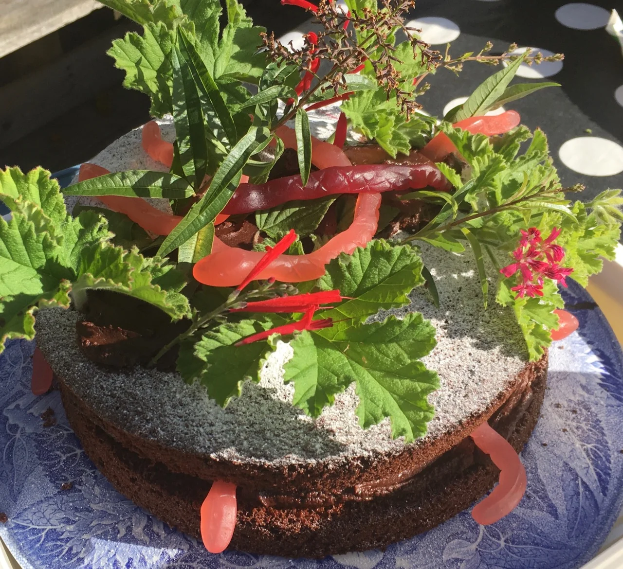 We had two worm cakes, but I only remembered to photograph one. The other had scarily realistic homemade jelly worms on it.