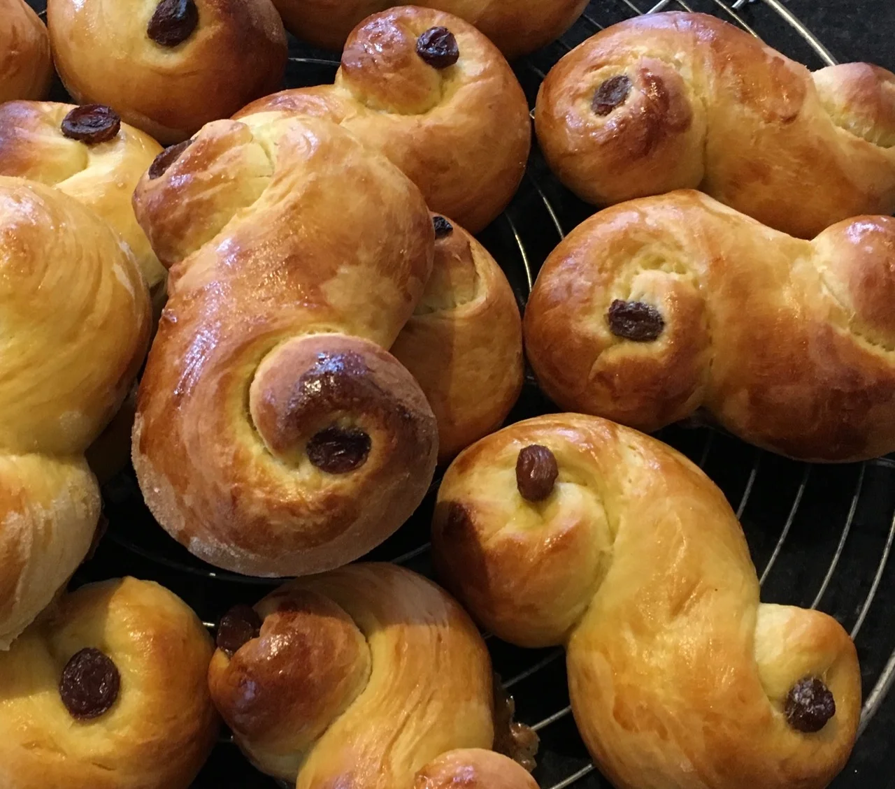 Swedish (advent) saffron buns… for gardeners’ tea today