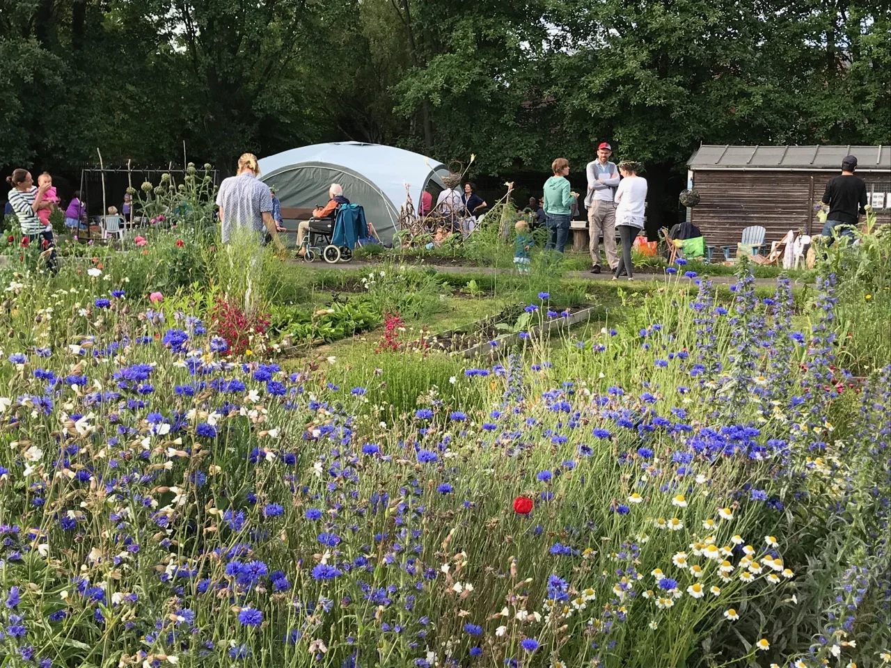 We had people who were pregnant up to those in their 90s enjoying the garden together - and from all nationalities and faiths. I think Jo Cox, who inspired these get togethers, would have liked that. Such a happy time in a beautiful garden. People came in family groups but also on their own or with friends. Making new connections and friends.