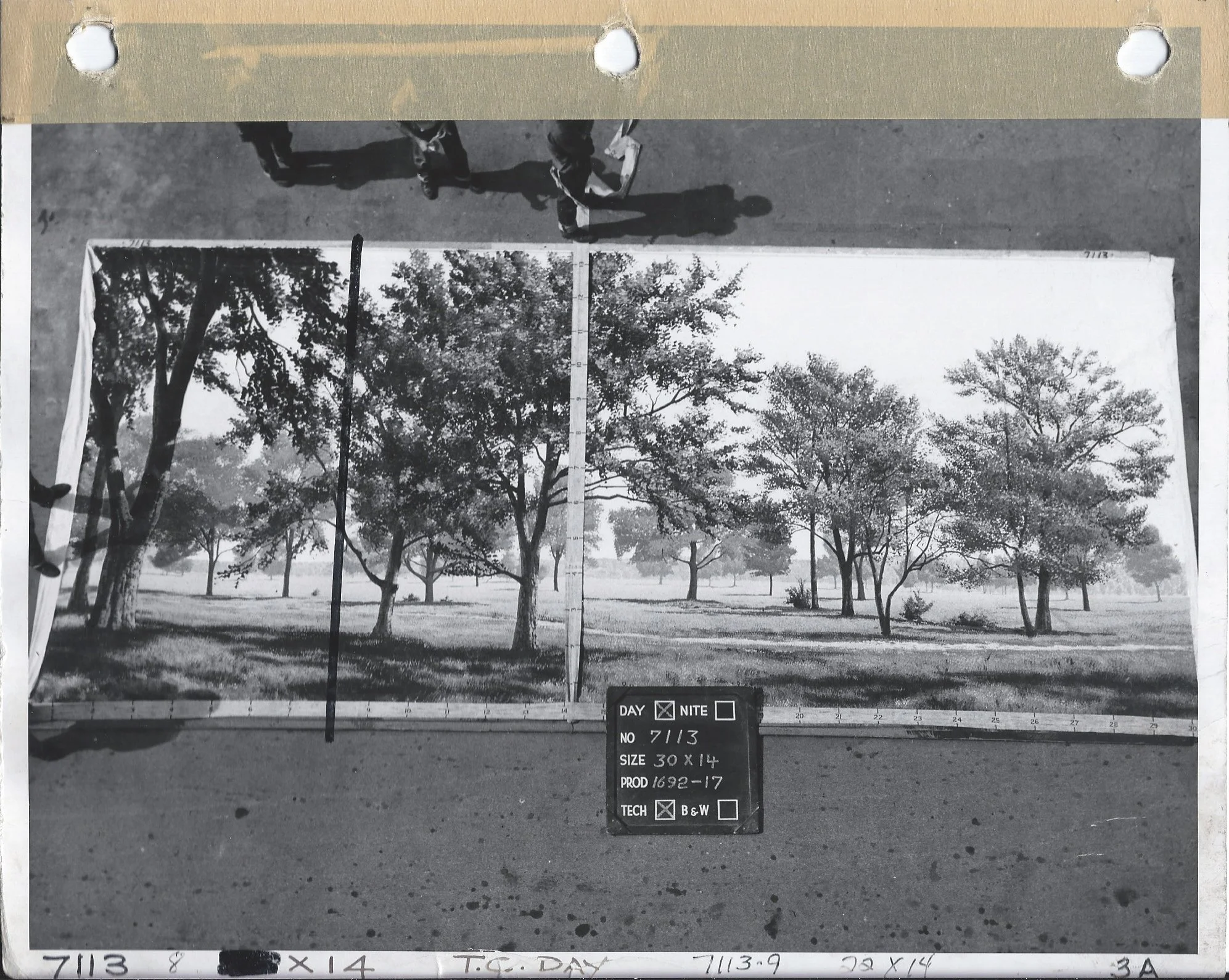 Raintree County 1.jpg