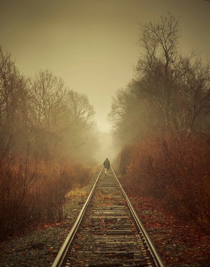 Tracks in the Fog