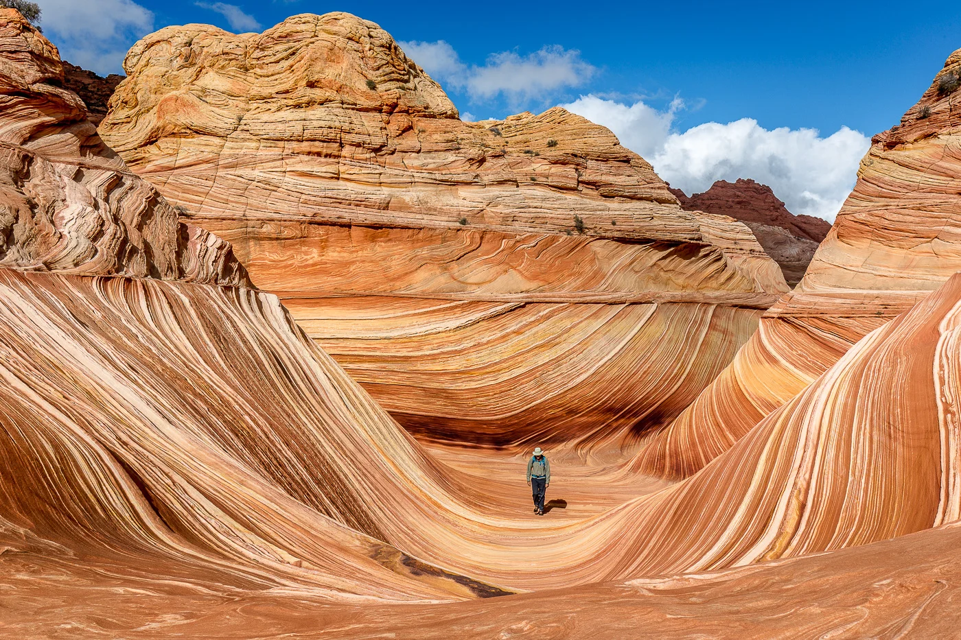 Walking Through the Wave