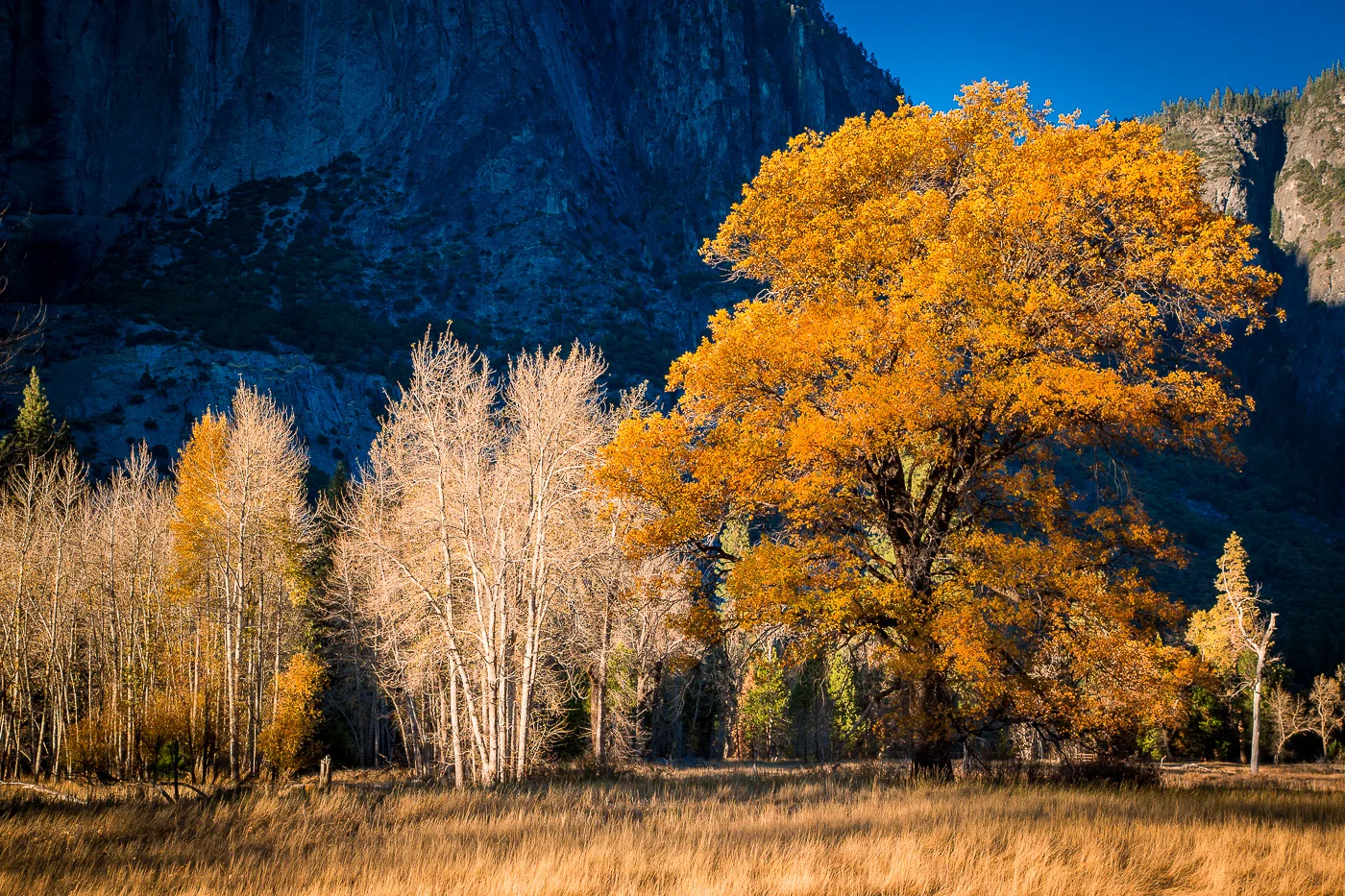 Late Fall in Yosemite