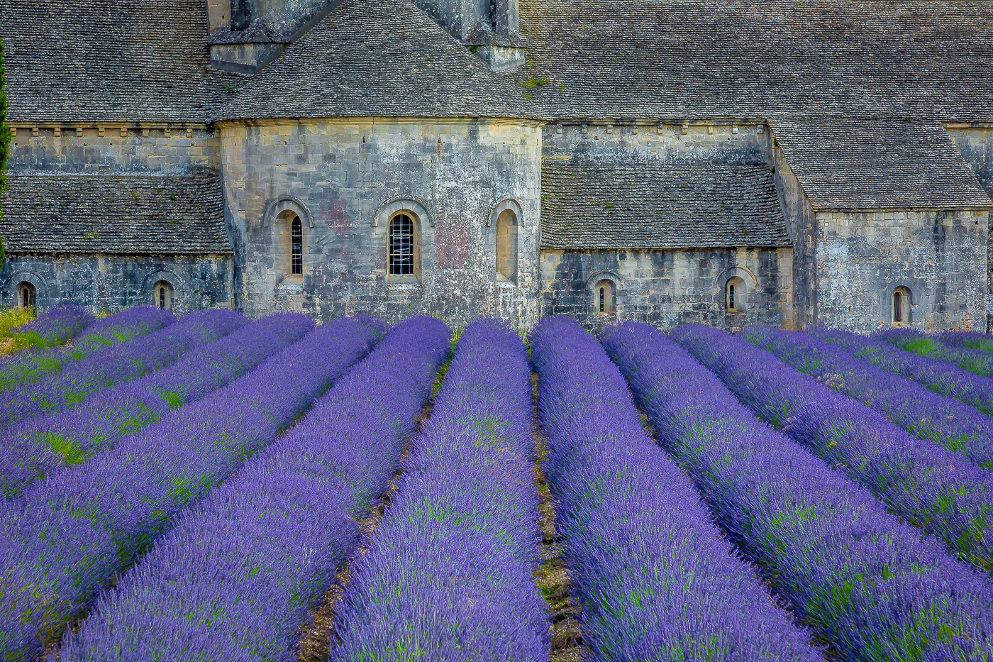 Abbaye de Senanque