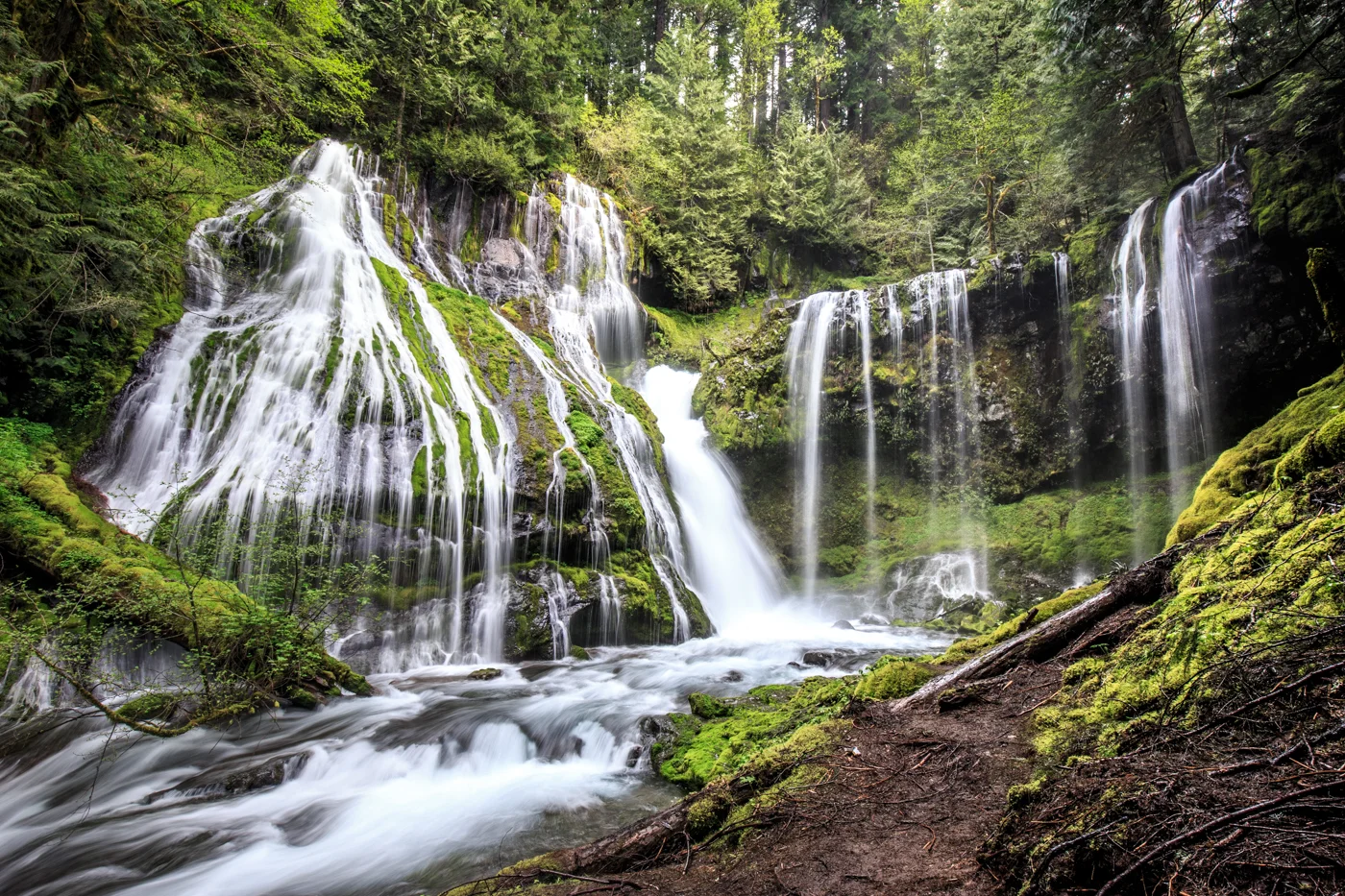 Panther Creek Falls