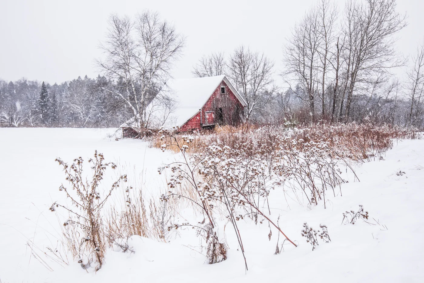 Vermont Winter