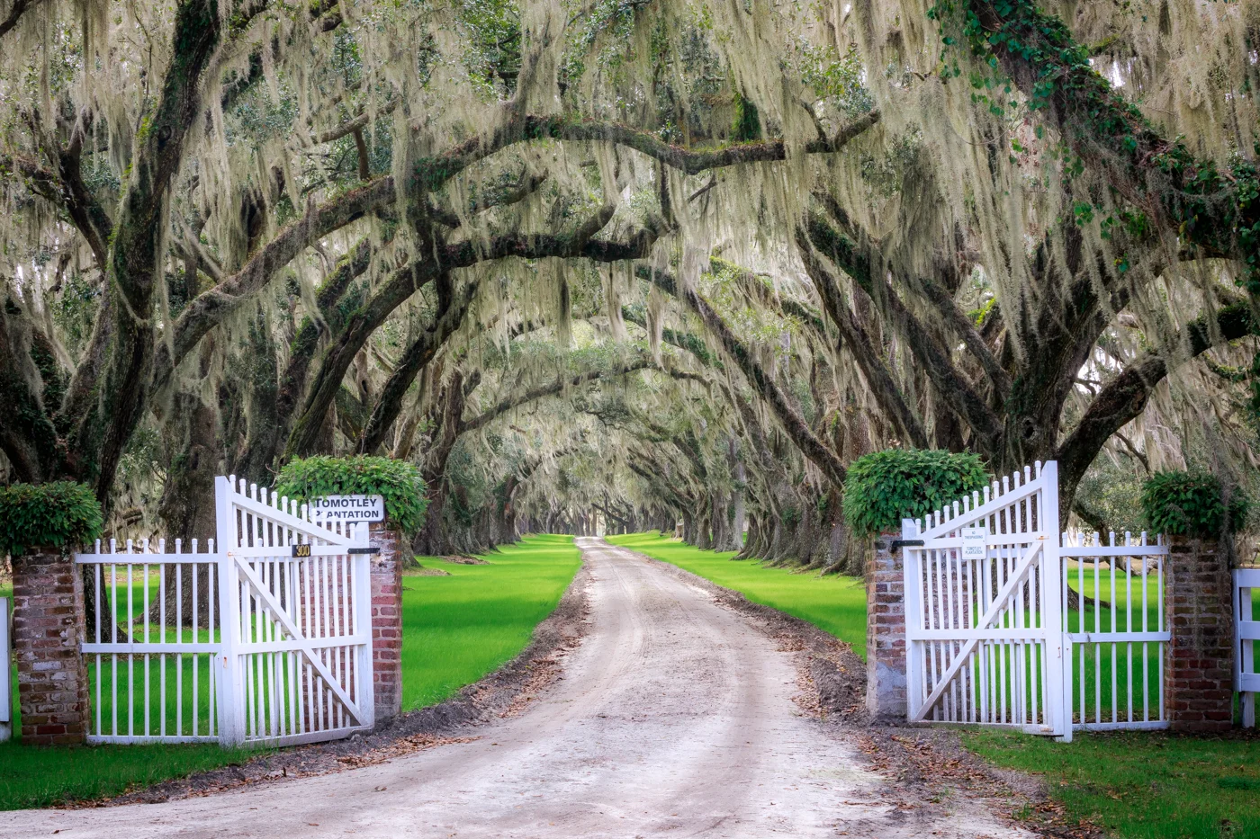 Tomotley Plantation