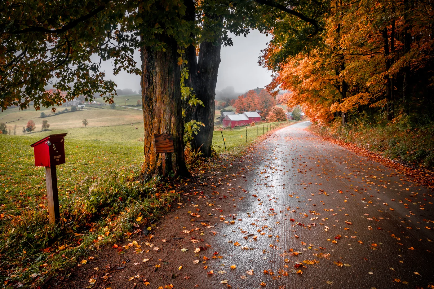 Road to Jenne Farm
