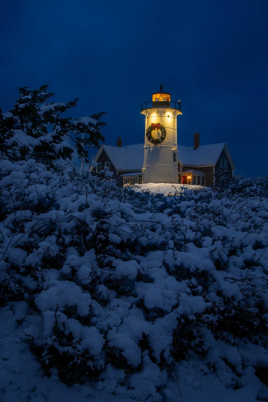 Nobska Blue Christmas