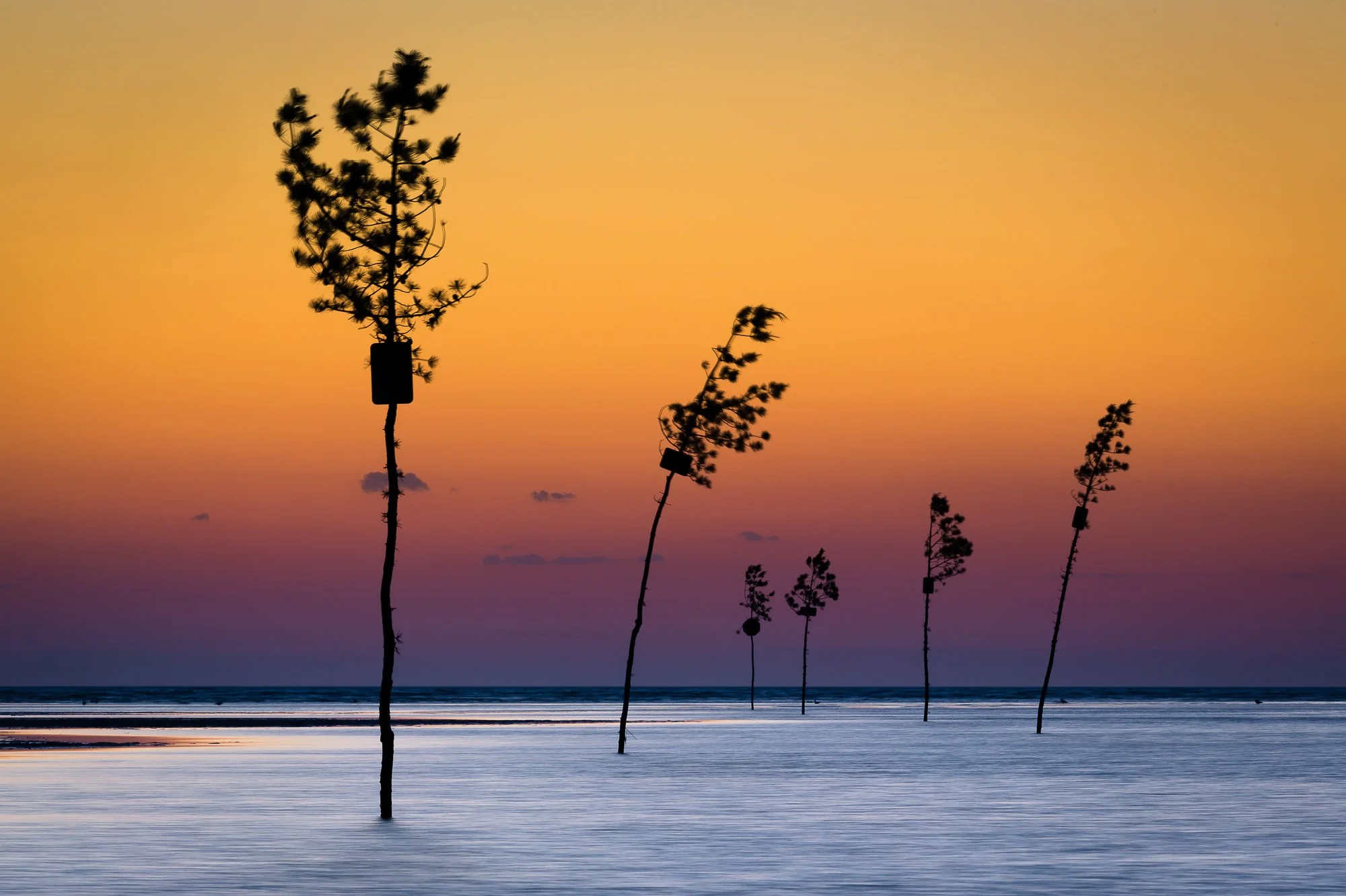Rock Harbor Early Season