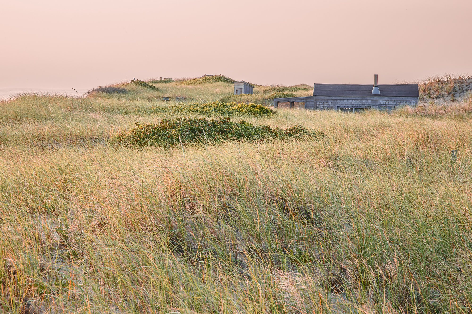 Frenchie's - Shack 12