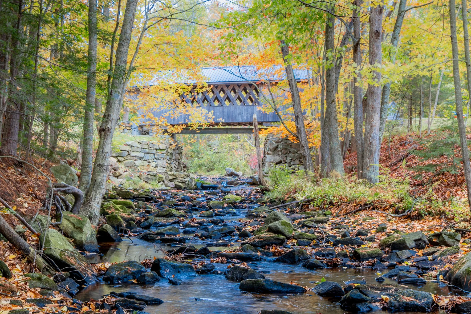 Tannery Hill Covered Bridge Fall