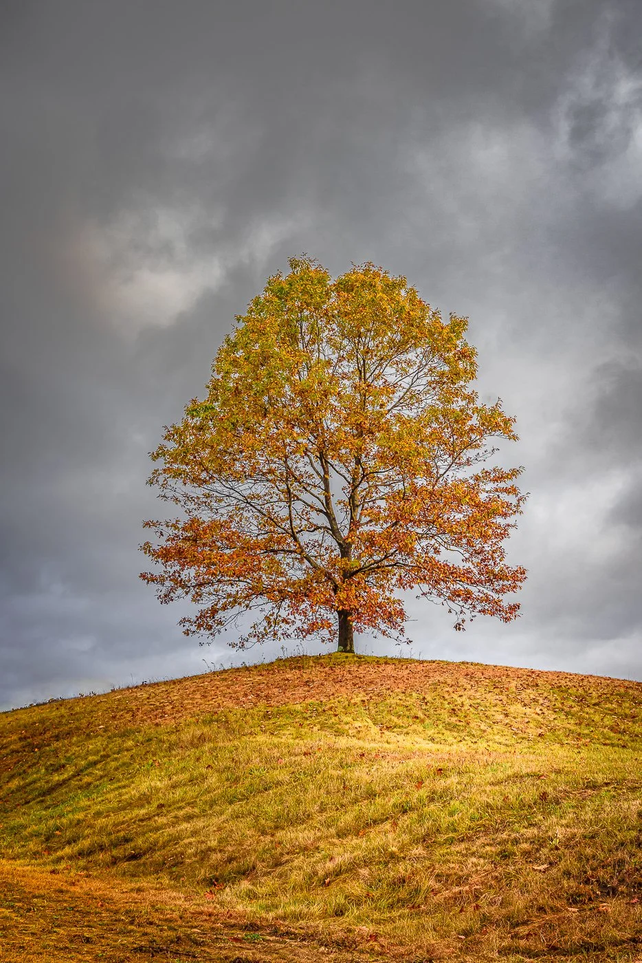 Late Fall East Corinth