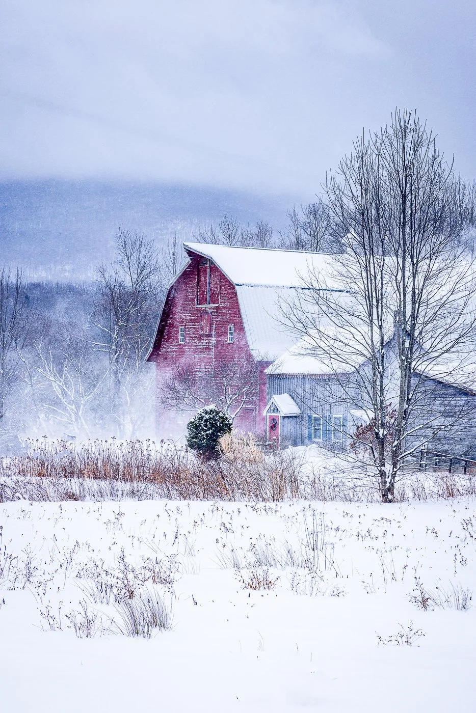 Vermont Winter